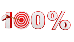 100% Accuracy Embroidery Work